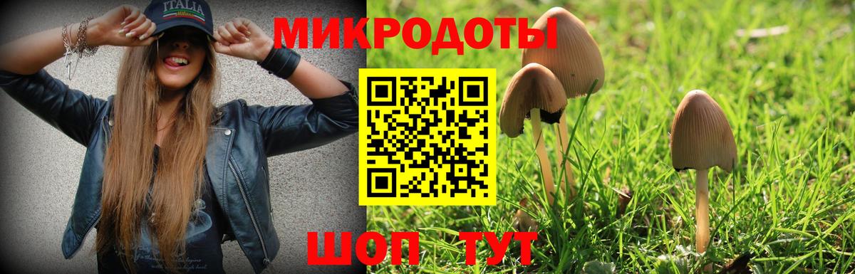 Псилоцибиновые грибы Cubensis Карталы