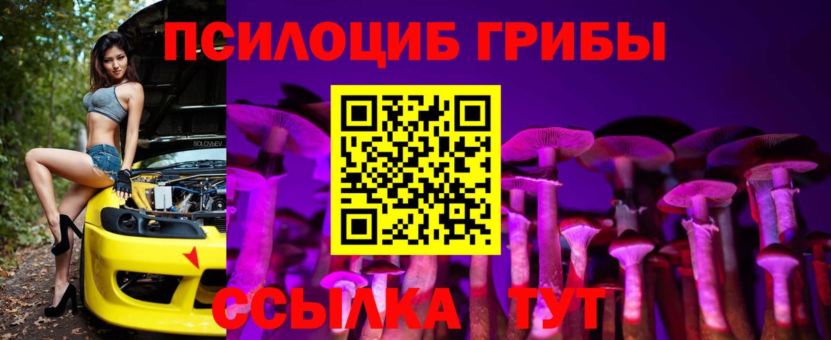 Карталы  Псилоцибиновые грибы прущие грибы  Вход с VPN 